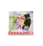 【ポメラニアンの福】（個別スタンプ：10）
