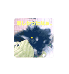 【ポメラニアンの福】（個別スタンプ：20）