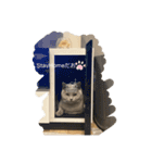 愛猫IKURA ⑵（個別スタンプ：5）