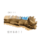 愛猫IKURA ⑵（個別スタンプ：14）