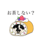 犬と猫の日常スタンプ①（個別スタンプ：27）