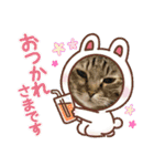 犬と猫の日常スタンプ①（個別スタンプ：32）
