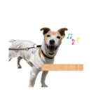 Luckyのほのぼのスタンプ（個別スタンプ：3）