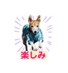 Luckyのほのぼのスタンプ（個別スタンプ：7）