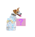 Luckyのほのぼのスタンプ（個別スタンプ：11）