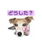 Luckyのほのぼのスタンプ（個別スタンプ：13）