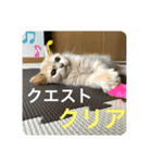 ウーバー用語 きなこバージョン（個別スタンプ：6）