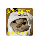 ウーバー用語 きなこバージョン（個別スタンプ：8）