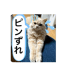 ウーバー用語 きなこバージョン（個別スタンプ：9）
