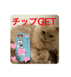 ウーバー用語 きなこバージョン（個別スタンプ：13）