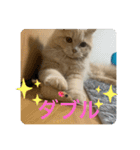 ウーバー用語 きなこバージョン（個別スタンプ：14）
