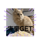 ウーバー用語 きなこバージョン（個別スタンプ：20）