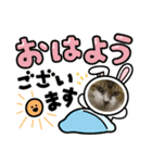 じっちゃん①（個別スタンプ：4）