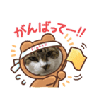 じっちゃん①（個別スタンプ：6）