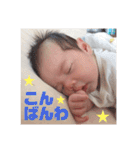 さといもヘッド（個別スタンプ：3）