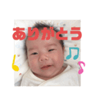 さといもヘッド（個別スタンプ：12）