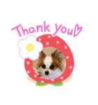 ぴのちゃんスタンプ♡（個別スタンプ：3）