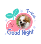 ぴのちゃんスタンプ♡（個別スタンプ：7）