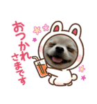 ポメラニアンのココちゃん。（個別スタンプ：13）