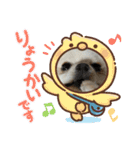 ポメラニアンのココちゃん。（個別スタンプ：30）