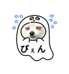ポメラニアンのココちゃん。（個別スタンプ：32）