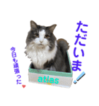 atlas ＆ marron 日和 2（個別スタンプ：1）