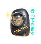 atlas ＆ marron 日和 2（個別スタンプ：2）