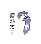 くじゃくのゆるい日常スタンプ（個別スタンプ：17）