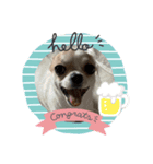 犬だらけワン♡ワン♡ワン♡（個別スタンプ：8）
