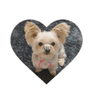 犬だらけワン♡ワン♡ワン♡（個別スタンプ：12）