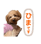 もかちゃんもうすぐ2歳（個別スタンプ：3）