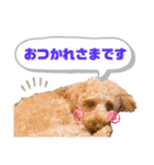 もかちゃんもうすぐ2歳（個別スタンプ：4）