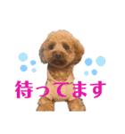 もかちゃんもうすぐ2歳（個別スタンプ：8）