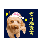 もかちゃんもうすぐ2歳（個別スタンプ：10）