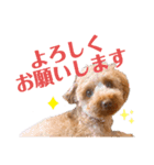 もかちゃんもうすぐ2歳（個別スタンプ：14）
