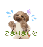 もかちゃんもうすぐ2歳（個別スタンプ：16）