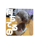 ゆーたとおちび③（個別スタンプ：5）