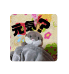ゆーたとおちび③（個別スタンプ：6）