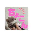 ゆーたとおちび③（個別スタンプ：7）