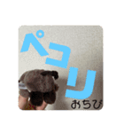 ゆーたとおちび③（個別スタンプ：8）