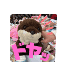 ゆーたとおちび③（個別スタンプ：10）