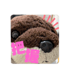 ゆーたとおちび③（個別スタンプ：14）