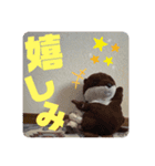 ゆーたとおちび③（個別スタンプ：16）