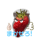 ストロベリーさんといちご大将（個別スタンプ：4）