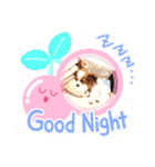 パピヨン クララ＆レイナ9（個別スタンプ：38）