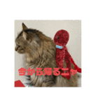 ガロ 犬のような猫ver0（個別スタンプ：13）