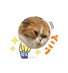 donnobbom2021.may（個別スタンプ：6）