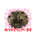 donnobbom2021.may（個別スタンプ：7）