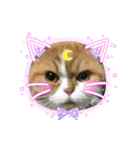 donnobbom2021.may（個別スタンプ：9）