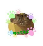 donnobbom2021.may（個別スタンプ：10）